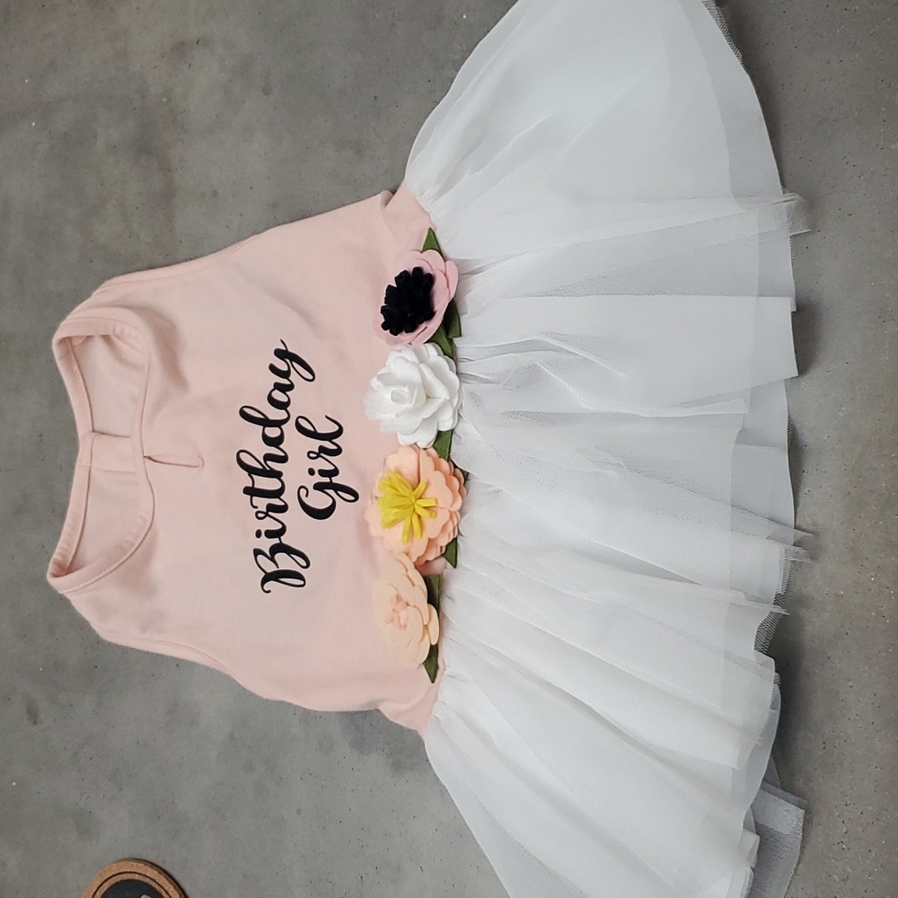Birthday Girl Dog dress